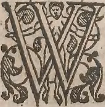 An illustration from The history of the world, commonly called the Naturall historie of C. Plinius Secundus, 1634, leaf 515