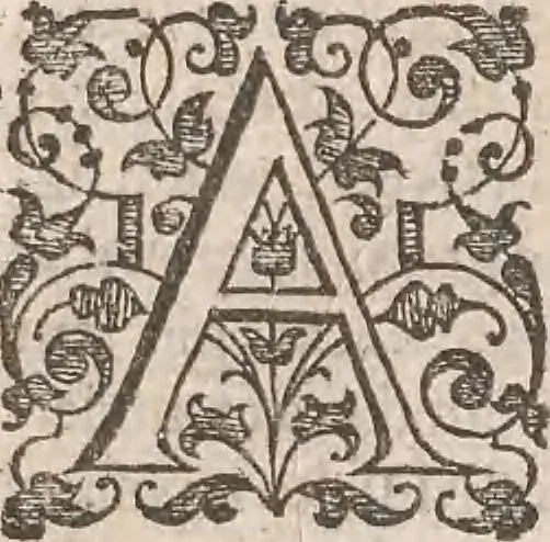 An illustration from The history of the world, commonly called the Naturall historie of C. Plinius Secundus, 1634, leaf 559