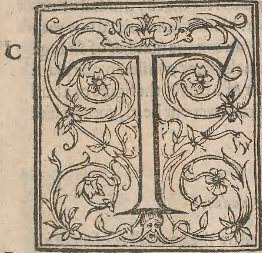 An illustration from The history of the world, commonly called the Naturall historie of C. Plinius Secundus, 1634, leaf 64