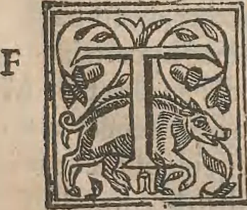 An illustration from The history of the world, commonly called the Naturall historie of C. Plinius Secundus, 1634, leaf 64