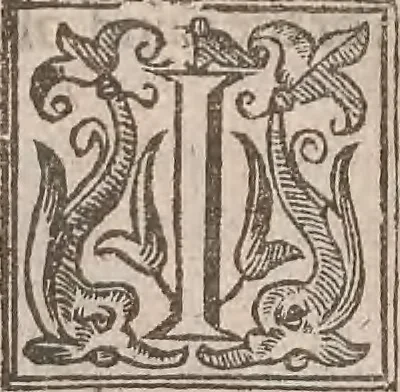 An illustration from The history of the world, commonly called the Naturall historie of C. Plinius Secundus, 1634, leaf 65