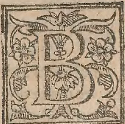 An illustration from The history of the world, commonly called the Naturall historie of C. Plinius Secundus, 1634, leaf 66