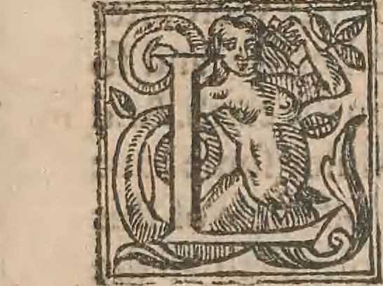 An illustration from The history of the world, commonly called the Naturall historie of C. Plinius Secundus, 1634, leaf 68