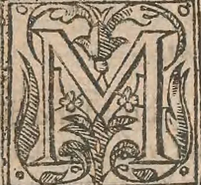 An illustration from The history of the world, commonly called the Naturall historie of C. Plinius Secundus, 1634, leaf 70