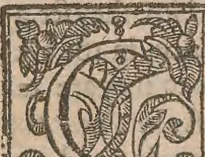 An illustration from The history of the world, commonly called the Naturall historie of C. Plinius Secundus, 1634, leaf 72