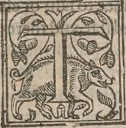 An illustration from The history of the world, commonly called the Naturall historie of C. Plinius Secundus, 1634, leaf 76