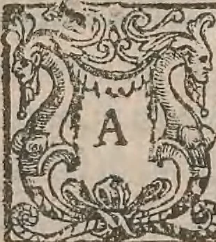 An illustration from The history of the world, commonly called the Naturall historie of C. Plinius Secundus, 1634, leaf 76