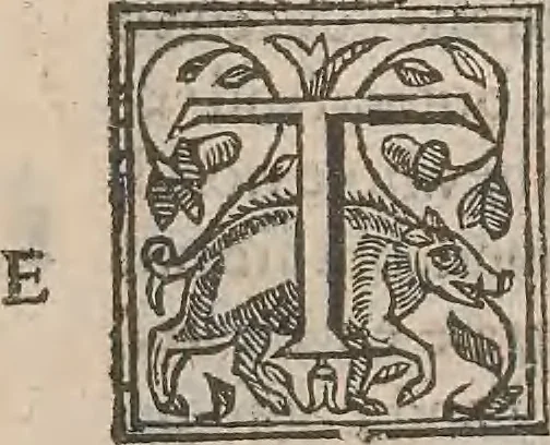 An illustration from The history of the world, commonly called the Naturall historie of C. Plinius Secundus, 1634, leaf 78