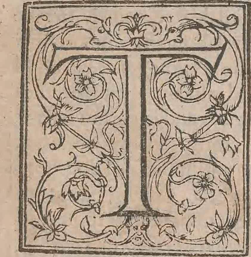 An illustration from The history of the world, commonly called the Naturall historie of C. Plinius Secundus, 1634, leaf 8