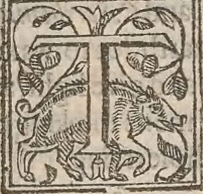 An illustration from The history of the world, commonly called the Naturall historie of C. Plinius Secundus, 1634, leaf 80