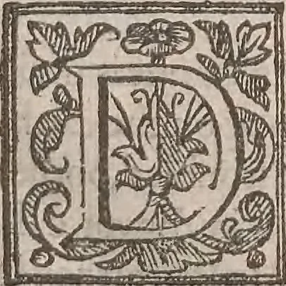 An illustration from The history of the world, commonly called the Naturall historie of C. Plinius Secundus, 1634, leaf 83
