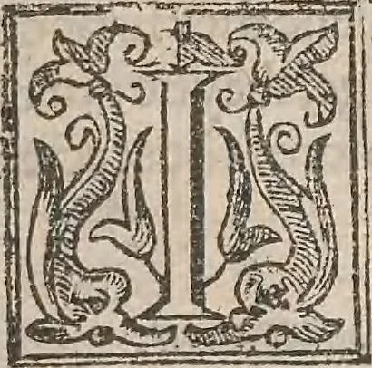 An illustration from The history of the world, commonly called the Naturall historie of C. Plinius Secundus, 1634, leaf 88