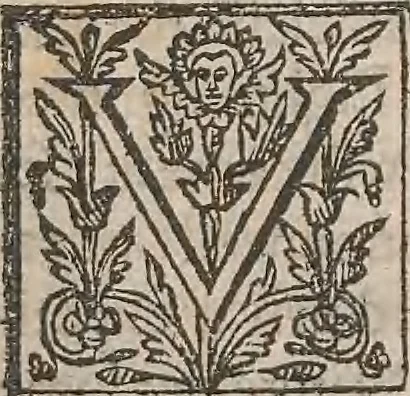 An illustration from The history of the world, commonly called the Naturall historie of C. Plinius Secundus, 1634, leaf 88