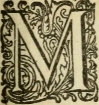 An illustration from H.L. Spieghels Hertspieghel en andere zede-schriften : meest noyt voor dezen gedrukt, 1694, leaf 100