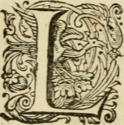An illustration from H.L. Spieghels Hertspieghel en andere zede-schriften : meest noyt voor dezen gedrukt, 1694, leaf 132