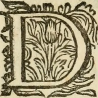 An illustration from H.L. Spieghels Hertspieghel en andere zede-schriften : meest noyt voor dezen gedrukt, 1694, leaf 139