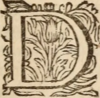 An illustration from H.L. Spieghels Hertspieghel en andere zede-schriften : meest noyt voor dezen gedrukt, 1694, leaf 172