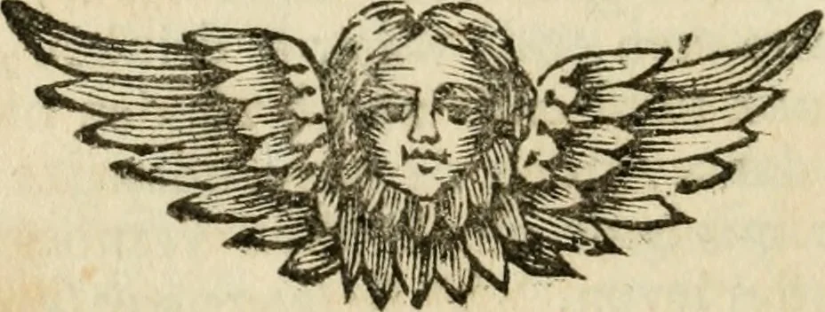 An illustration from H.L. Spieghels Hertspieghel en andere zede-schriften : meest noyt voor dezen gedrukt, 1694, leaf 181