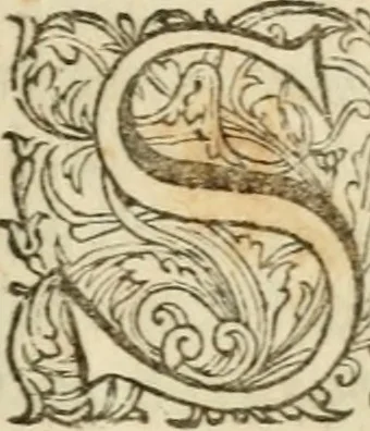 An illustration from H.L. Spieghels Hertspieghel en andere zede-schriften : meest noyt voor dezen gedrukt, 1694, leaf 194