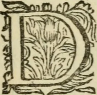 An illustration from H.L. Spieghels Hertspieghel en andere zede-schriften : meest noyt voor dezen gedrukt, 1694, leaf 44
