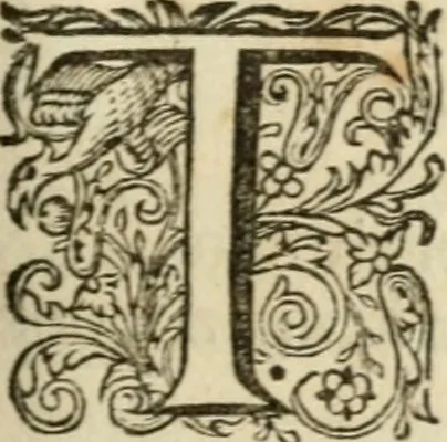 An illustration from H.L. Spieghels Hertspieghel en andere zede-schriften : meest noyt voor dezen gedrukt, 1694, leaf 86