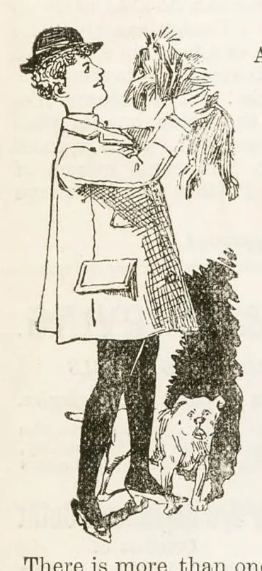 An illustration from Hobbies Weekly No. 10, 1895, leaf 7