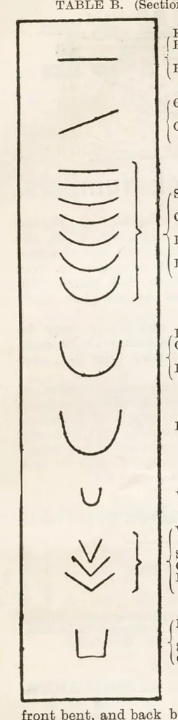 An illustration from Hobbies Weekly No. 11, 1895, leaf 12