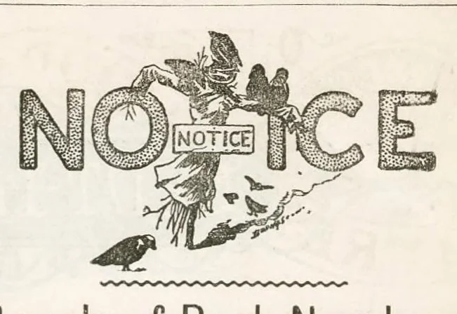 An illustration from Hobbies Weekly No. 13, 1896, leaf 14