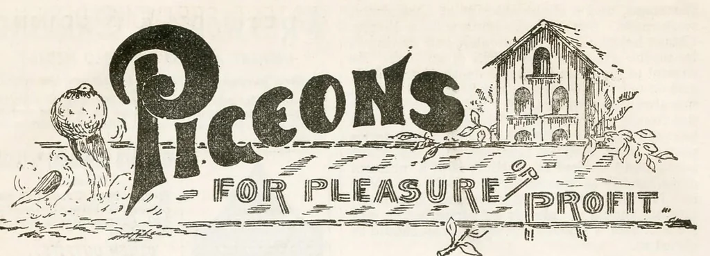 An illustration from Hobbies Weekly No. 13, 1896, leaf 9
