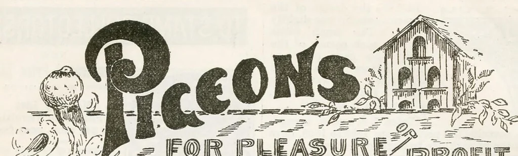 An illustration from Hobbies Weekly No. 14, 1896, leaf 9