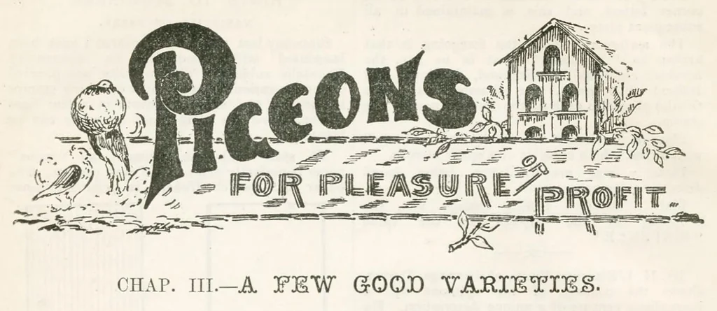 An illustration from Hobbies Weekly No. 15, 1896, leaf 9