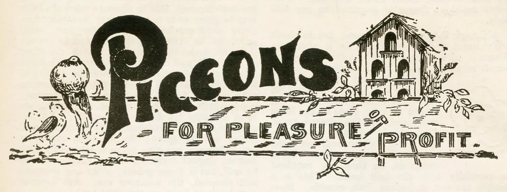 An illustration from Hobbies Weekly No. 16, 1896, leaf 11
