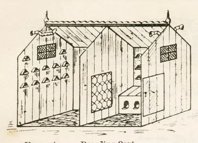 An illustration from Hobbies Weekly No. 16, 1896, leaf 12