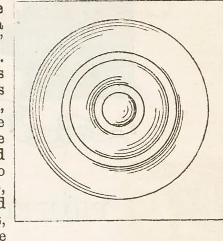 An illustration from Hobbies Weekly No. 16, 1896, leaf 6