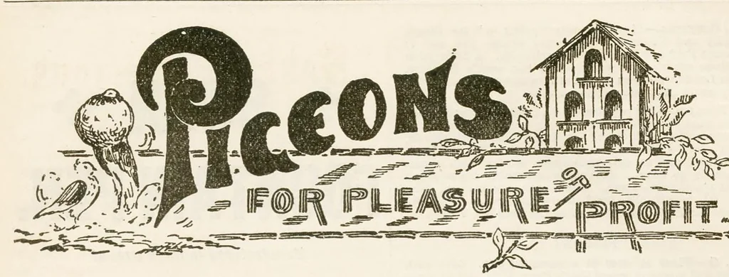 An illustration from Hobbies Weekly No. 19, 1896, leaf 19