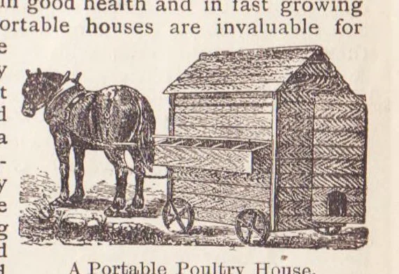 An illustration from Hobbies Weekly No. 2, 1895, leaf 20