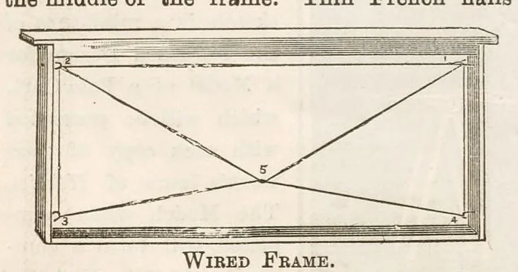 An illustration from Hobbies Weekly No. 22, 1896, leaf 11