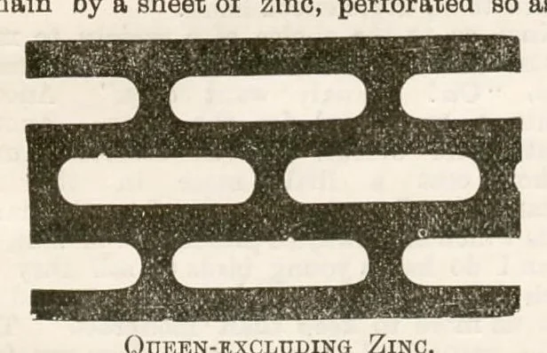 An illustration from Hobbies Weekly No. 22, 1896, leaf 12