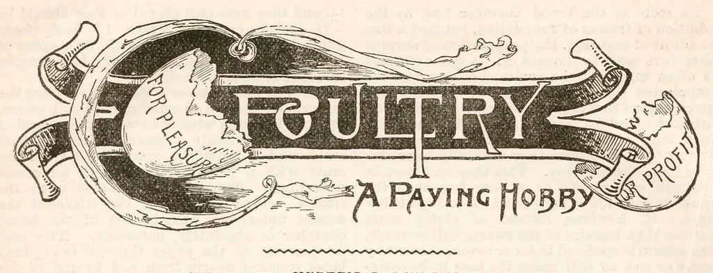 An illustration from Hobbies Weekly No. 22, 1896, leaf 13