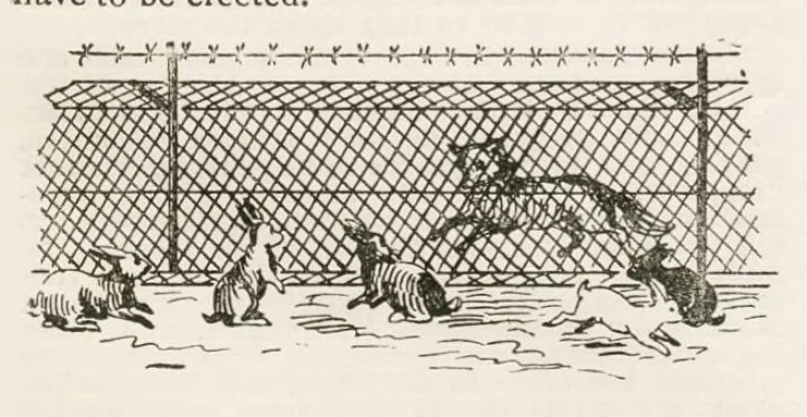 An illustration from Hobbies Weekly No. 5, 1895, leaf 20