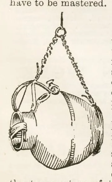 An illustration from Hobbies Weekly No. 6, 1895, leaf 20