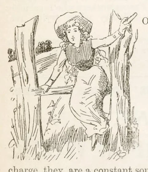 An illustration from Hobbies Weekly No. 7, 1895, leaf 7