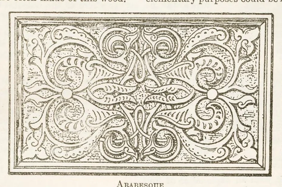 An illustration from Hobbies Weekly No. 8, 1895, leaf 10