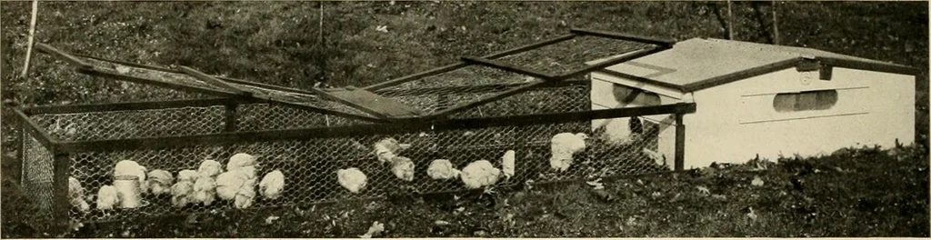 An illustration from Hodgson portable houses., 1916, leaf 61