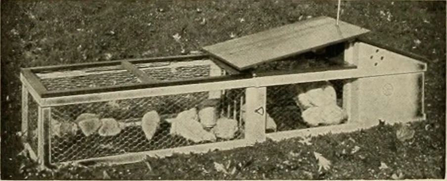 An illustration from Hodgson portable houses., 1916, leaf 61