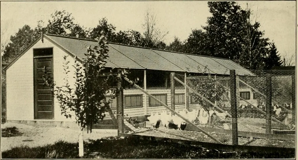 An illustration from Hodgson portable houses., 1916, leaf 63