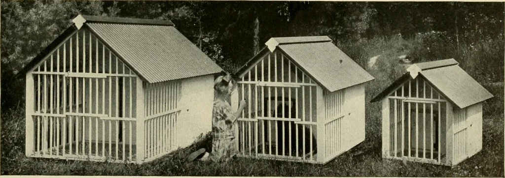 An illustration from Hodgson portable houses., 1916, leaf 64