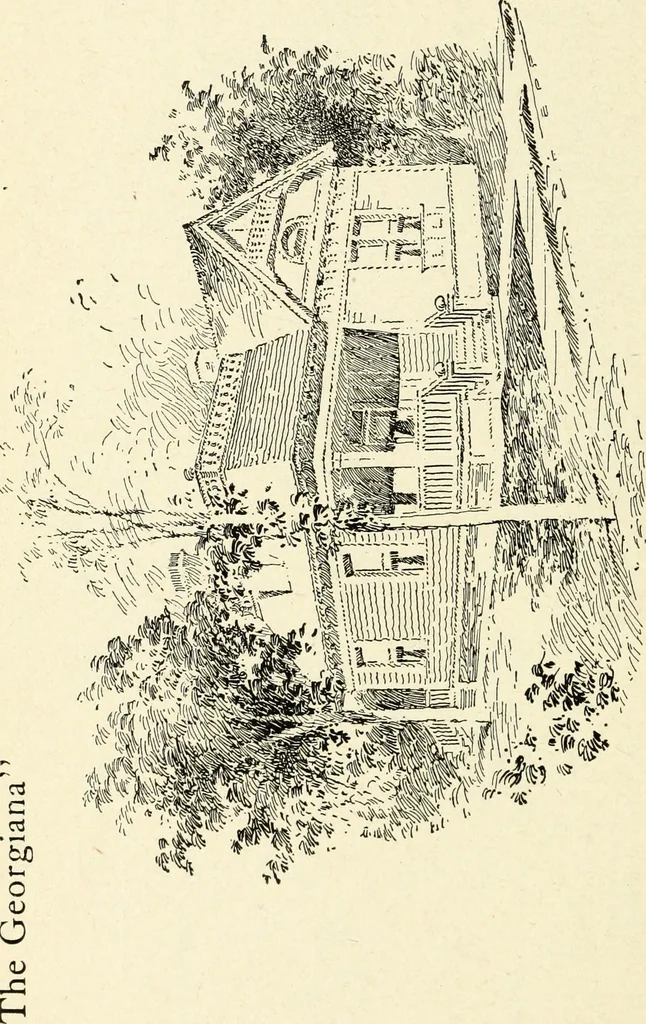 An illustration from Hodgson's low cost American homes; perspective views and floor plans of one hundred low and medium priced houses, 1905, leaf 169
