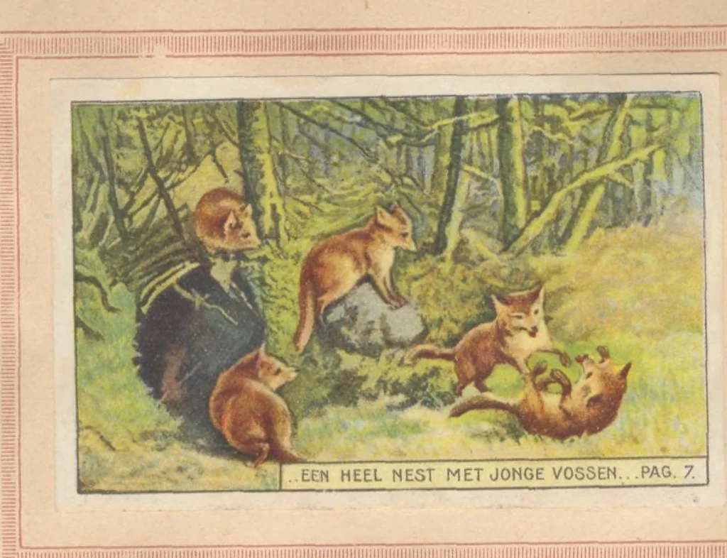 An illustration from Hoe Piggelmee Groot Werd, 1923, leaf 12