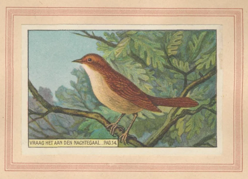 An illustration from Hoe Piggelmee Groot Werd, 1923, leaf 24